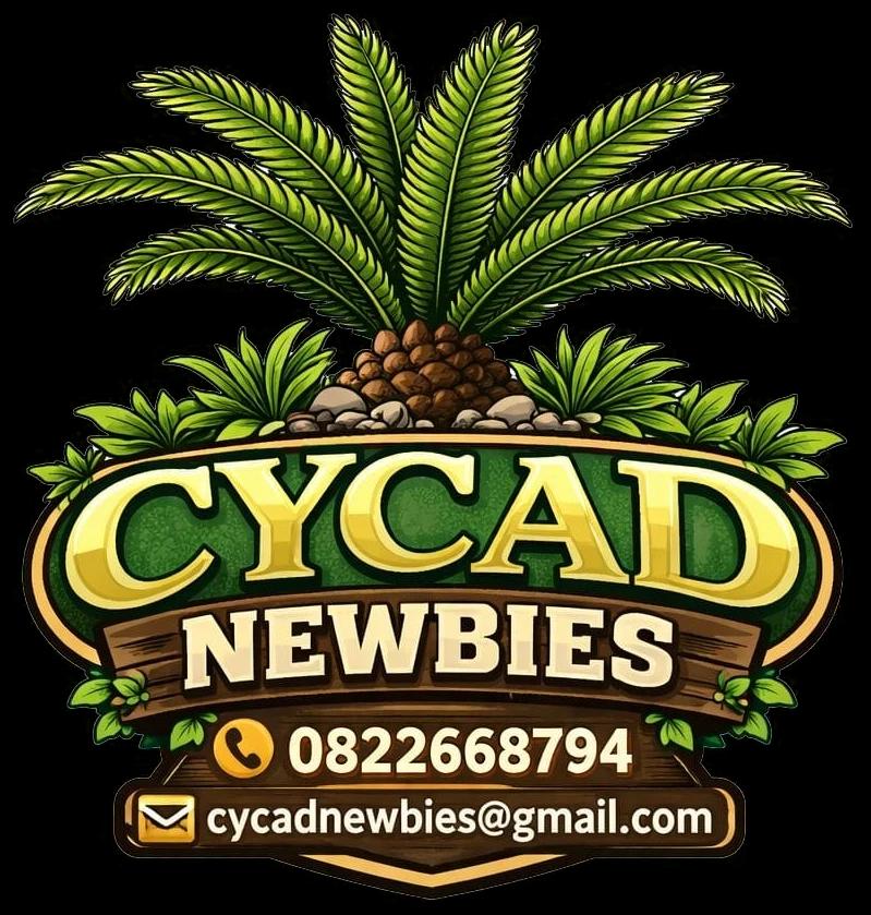 Cycad Newbies
