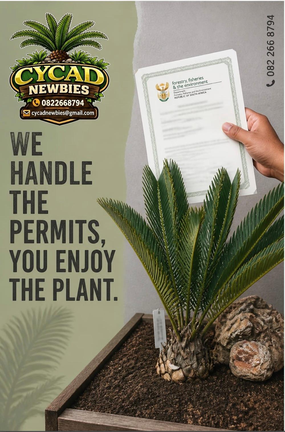 We handle the permits, you enjoy the plant